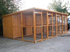 dog run kennel